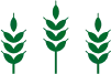 Picto blé